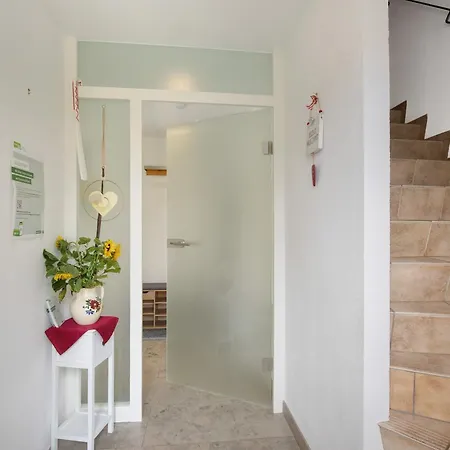 Schneider ブラウボイレン